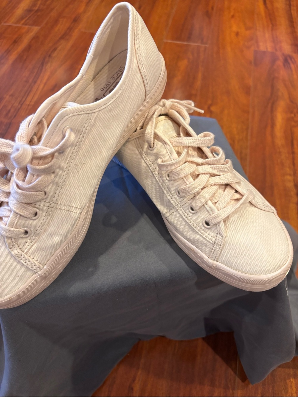 Keds Canvas Low-Top Sneakers in Light Pink